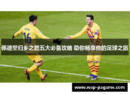 佩德里归乡之路五大必备攻略 助你畅享他的足球之旅 佩德里归乡之路五大必备攻略 助你畅享他的足球之旅