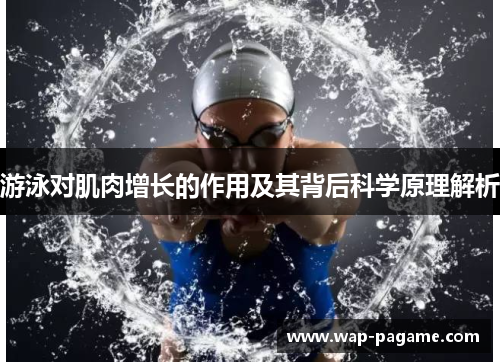 游泳对肌肉增长的作用及其背后科学原理解析 游泳对肌肉增长的作用及其背后科学原理解析