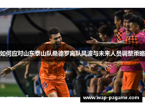 如何应对山东泰山队桑德罗离队风波与未来人员调整策略 如何应对山东泰山队桑德罗离队风波与未来人员调整策略
