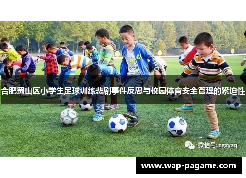 合肥蜀山区小学生足球训练悲剧事件反思与校园体育安全管理的紧迫性 合肥蜀山区小学生足球训练悲剧事件反思与校园体育安全管理的紧迫性