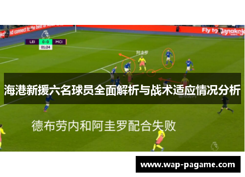海港新援六名球员全面解析与战术适应情况分析 海港新援六名球员全面解析与战术适应情况分析