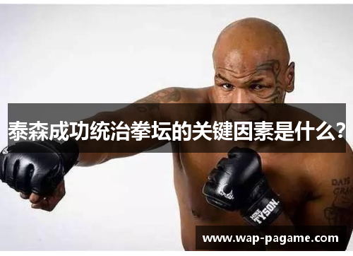泰森成功统治拳坛的关键因素是什么? 泰森成功统治拳坛的关键因素是什么?