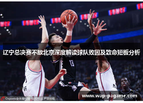 辽宁总决赛不敌北京深度解读球队败因及致命短板分析 辽宁总决赛不敌北京深度解读球队败因及致命短板分析