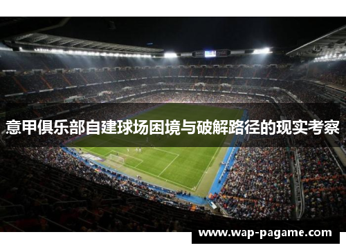 意甲俱乐部自建球场困境与破解路径的现实考察