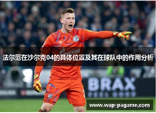 法尔范在沙尔克04的具体位置及其在球队中的作用分析