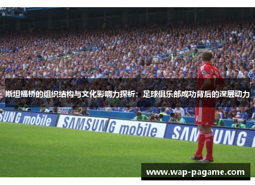 斯坦福桥的组织结构与文化影响力探析：足球俱乐部成功背后的深层动力
