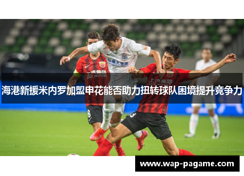 海港新援米内罗加盟申花能否助力扭转球队困境提升竞争力