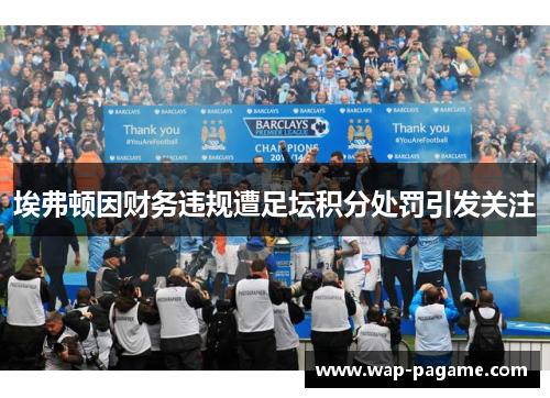 埃弗顿因财务违规遭足坛积分处罚引发关注